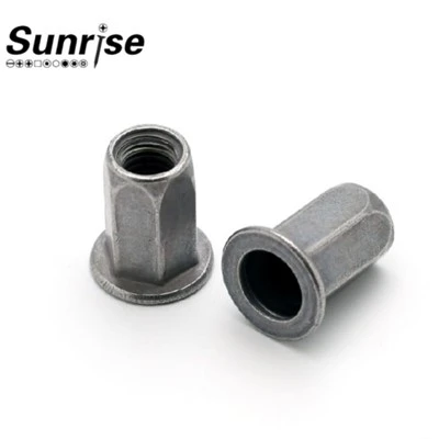 Hexágono completo com flange grande, cabeça plana, furo interno redondo, porca de rebite de extremidade aberta